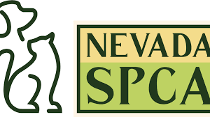 NSPCA