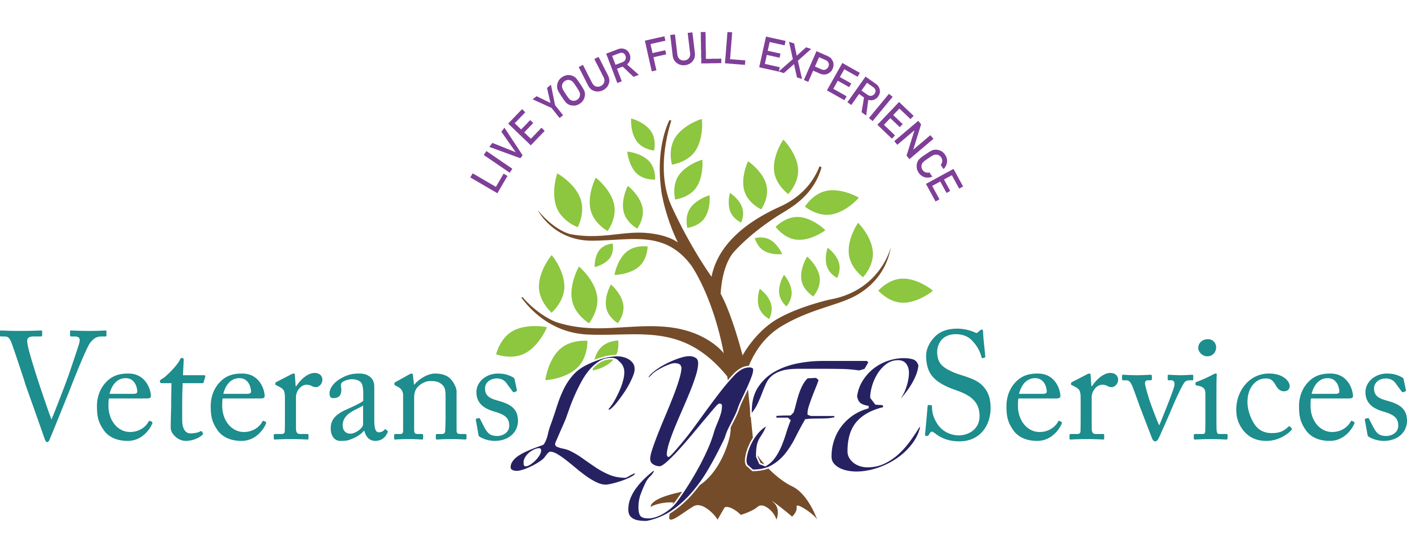 Veterans Lyfe Services